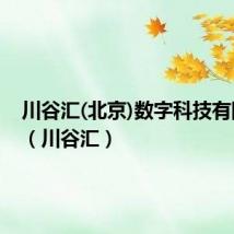川谷汇(北京)数字科技有限公司(川谷汇)
