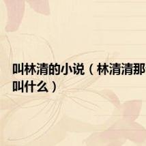 叫林清的小说(林清清那个小说叫什么)