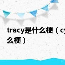 tracy是什么梗（cy是什么梗）