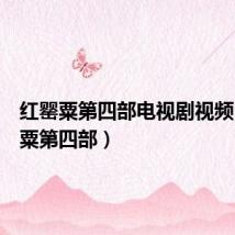 红罂粟第四部电视剧视频(红罂粟第四部)