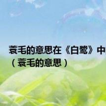 蓑毛的意思在《白鹭》中的意思(蓑毛的意思)