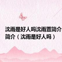 沈雨是好人吗沈雨萱简介吴庆久简介(沈雨是好人吗)
