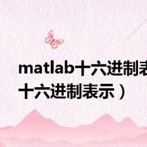 matlab十六进制表示(十六进制表示)
