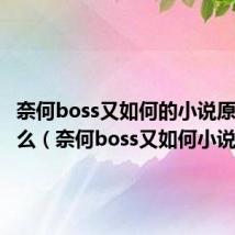 奈何boss又如何的小说原名叫什么(奈何boss又如何小说)