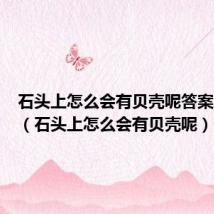 石头上怎么会有贝壳呢答案二年级（石头上怎么会有贝壳呢）