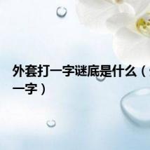 外套打一字谜底是什么(外套打一字)