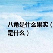 八角是什么果实（八角是什么）