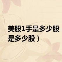 美股1手是多少股(1手是多少股)