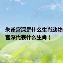 朱雀宫深是什么生肖动物(朱雀宫深代表什么生肖)