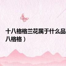 十八格格兰花属于什么品种(十八格格)