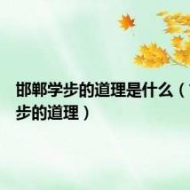 邯郸学步的道理是什么(邯郸学步的道理)