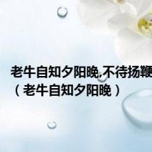老牛自知夕阳晚,不待扬鞭自全诗(老牛自知夕阳晚)