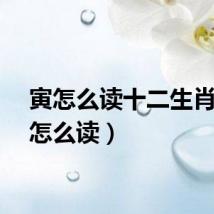 寅怎么读十二生肖（寅怎么读）