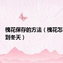 槐花保存的方法(槐花怎么保存到冬天)