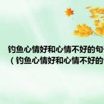 钓鱼心情好和心情不好的句子30字(钓鱼心情好和心情不好的句子)