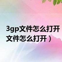 3gp文件怎么打开(3ga文件怎么打开)