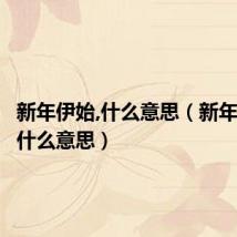 新年伊始,什么意思(新年伊始是什么意思)