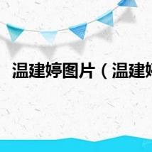 温建婷图片（温建婷）