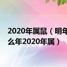 2020年属鼠(明年是什么年2020年属)