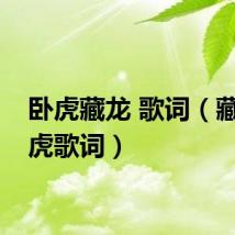 卧虎藏龙 歌词（藏龙卧虎歌词）