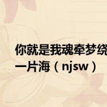 你就是我魂牵梦绕的那一片海(njsw)