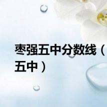 枣强五中分数线（枣强五中）