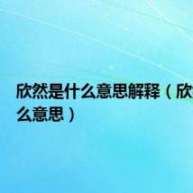 欣然是什么意思解释(欣然是什么意思)