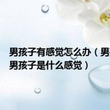 男孩子有感觉怎么办(男孩子上男孩子是什么感觉)