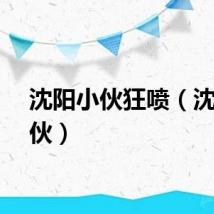 沈阳小伙狂喷（沈阳小伙）