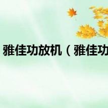 雅佳功放机（雅佳功放）