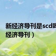 新经济导刊是scd吗(新经济导刊)