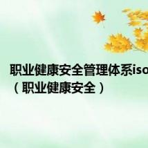 职业健康安全管理体系iso45001(职业健康安全)