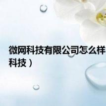 微网科技有限公司怎么样（微网科技）
