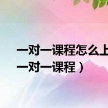 一对一课程怎么上课（一对一课程）