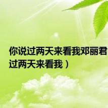 你说过两天来看我邓丽君(你说过两天来看我)
