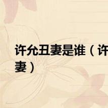 许允丑妻是谁（许允丑妻）