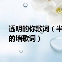 透明的你歌词(半透明的墙歌词)