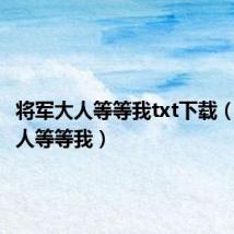 将军大人等等我txt下载(将军大人等等我)