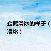 企鹅滑冰的样子（企鹅滑冰）