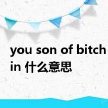 you son of bitch i'm in 什么意思