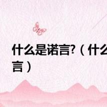 什么是诺言?（什么是诺言）