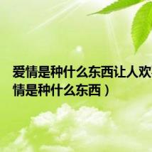 爱情是种什么东西让人欢喜(爱情是种什么东西)