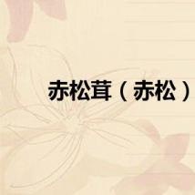 赤松茸（赤松）