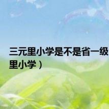 三元里小学是不是省一级(三元里小学)