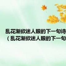乱花渐欲迷人眼的下一句诗是什么(乱花渐欲迷人眼的下一句)