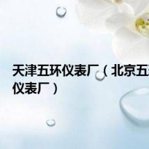 天津五环仪表厂(北京五环仪器仪表厂)