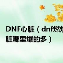 DNF心脏(dnf燃烧的心脏哪里爆的多)