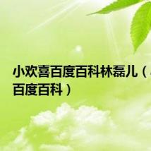 小欢喜百度百科林磊儿(小欢喜百度百科)