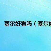 塞尔好看吗（塞尔好）