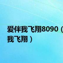 爱伴我飞翔8090(爱伴我飞翔)